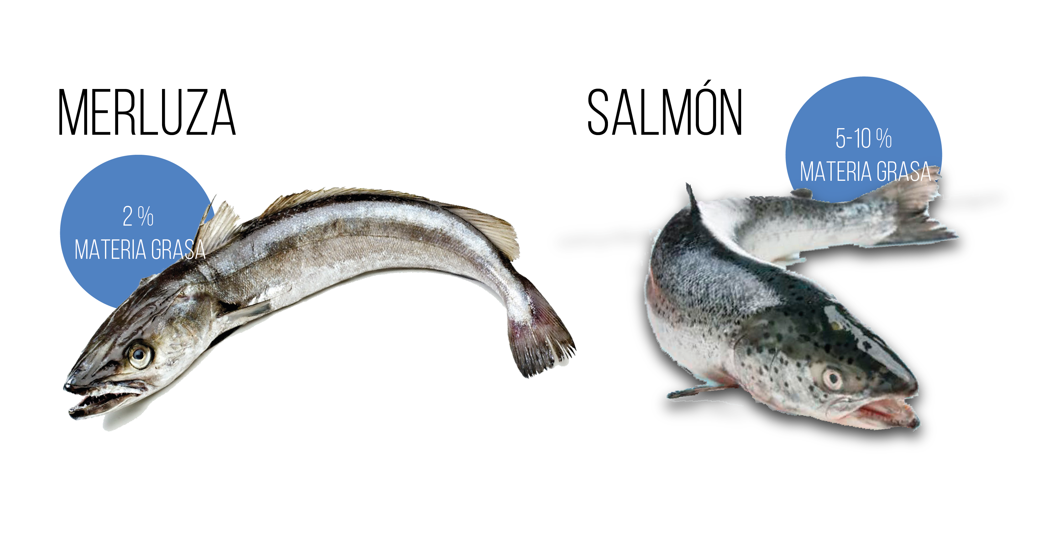 diferencia pescado blanco y azul